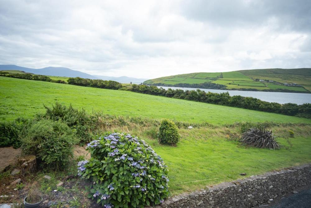 Hotel Half Door House Dingle Exteriér fotografie
